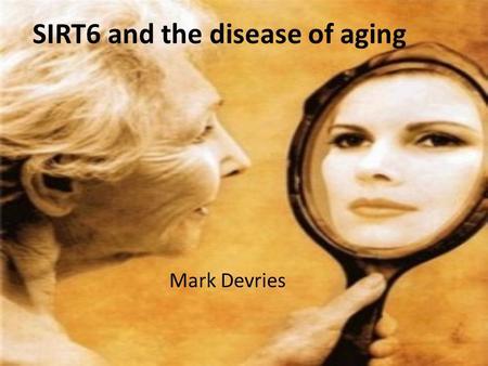 SIRT6 and the disease of aging Mark Devries. Outline Background –Sirtuin biology –SIRT6 role in aging Results –Phylogeny – Protein domains –Phenotype.