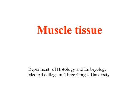 Muscle tissue Department of Histology and Embryology Medical college in Three Gorges University.
