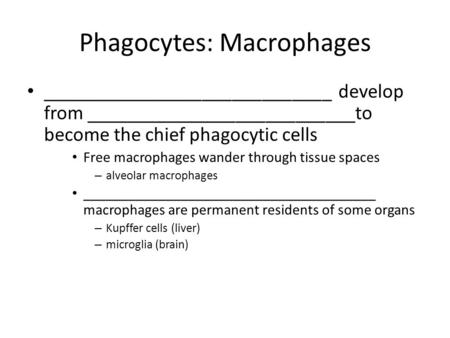 Phagocytes: Macrophages _____________________________ develop from ___________________________to become the chief phagocytic cells Free macrophages wander.