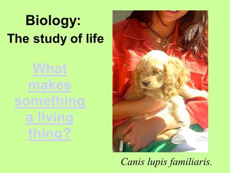 What makes something a living thing? Canis lupis familiaris. Biology: The study of life.
