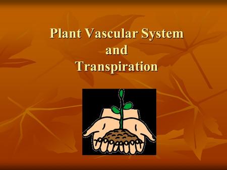 Plant Vascular System and Transpiration. Plant Vascular System.