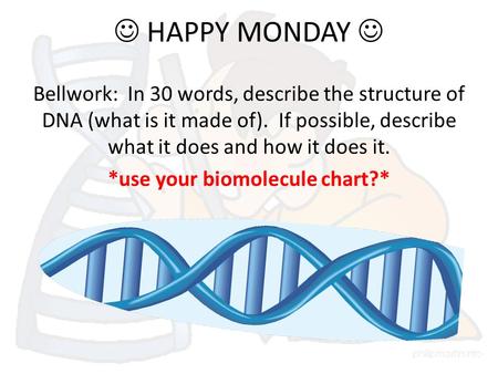  HAPPY MONDAY  Bellwork: In 30 words, describe the structure of DNA (what is it made of). If possible, describe what it does and how it does it. *use.