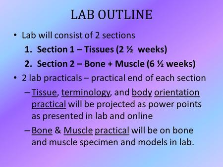 LAB OUTLINE Lab will consist of 2 sections 1.Section 1 – Tissues (2 ½ weeks) 2.Section 2 – Bone + Muscle (6 ½ weeks) 2 lab practicals – practical end of.