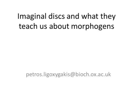 Imaginal discs and what they teach us about morphogens