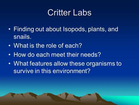 Critter Labs Finding out about Isopods, plants, and snails.