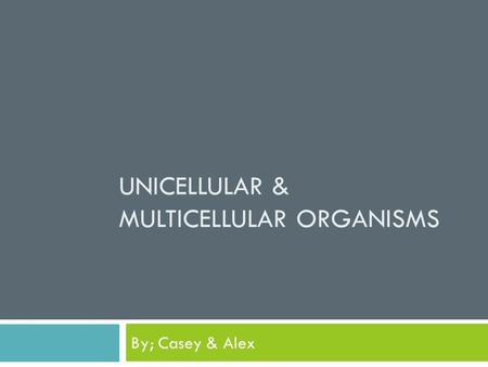 UNICELLULAR & MULTICELLULAR ORGANISMS By; Casey & Alex.