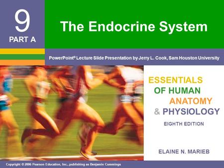 ELAINE N. MARIEB EIGHTH EDITION 9 Copyright © 2006 Pearson Education, Inc., publishing as Benjamin Cummings PowerPoint ® Lecture Slide Presentation by.