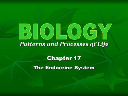 Patterns and Processes of Life Chapter 17 The Endocrine System.