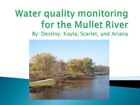 By: Destiny, Kayla, Scarlet, and Ariana.  The overall health of the river is okay.  For one example; dissolved oxygen is okay because the percent that.