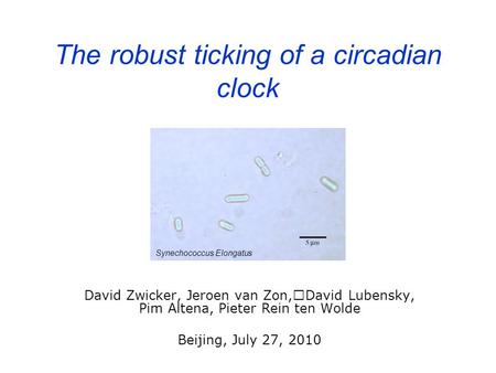 The robust ticking of a circadian clock David Zwicker, Jeroen van Zon,David Lubensky, Pim Altena, Pieter Rein ten Wolde Beijing, July 27, 2010 Synechococcus.
