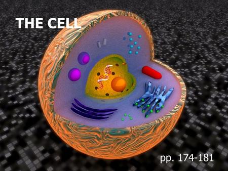 THE CELL pp. 174-181. Cell Boundaries A. Cell Wall Cell walls are the outermost boundary in __________, _______, and ___________. They are not found in.
