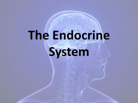 The Endocrine System. functions Controls body functions and helps maintain homeostasis by using hormones. hormone – chemical messenger made in one cell.
