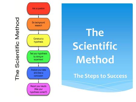 The Scientific Method The Steps to Success.  Imagine that all of the birds around the school are dying. How might you investigate the problem? Write.