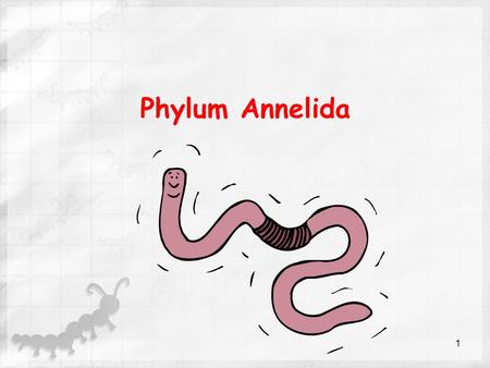 Phylum Annelida 1. McDougall ch. 23 annelids video McDougall videos ch 14 symbitotic relationships.