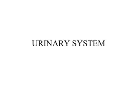 URINARY SYSTEM. FUNCTIONS OF THE URINARY SYSTEM FILTERING BLOOD & EXCRETION OF WASTES REGULATION OF BLOOD VOLUME & BLOOD PRESSURE REGULATION OF SOLUTE.
