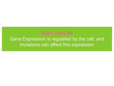 Main Idea #4 Gene Expression is regulated by the cell, and mutations can affect this expression.
