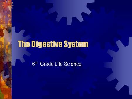 The Digestive System 6 th Grade Life Science Major Functions of the Digestive System Break down ingested food Put nutrients into the bloodstream Remove.