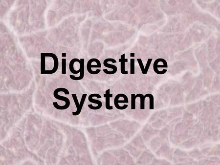 Digestive System. Nutrients Substances in food that provide raw materials and energy the body needs to live Our digestive system turns the chemical energy.