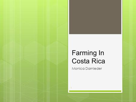 Farming In Costa Rica Monica Darnieder 1. Geography 2  Warm climate  Fertile soils  Abundance of water (4 meters yearly)  Irrigation  10% of land.