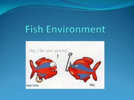 Freshwater Fish Common fish? Carp Small Mouth Bass Trout Catfish.