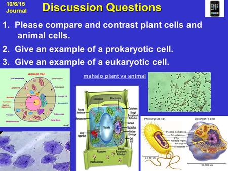 Discussion Questions Discussion Questions 10/6/15 Journal 1. Please compare and contrast plant cells and animal cells. 2. Give an example of a prokaryotic.