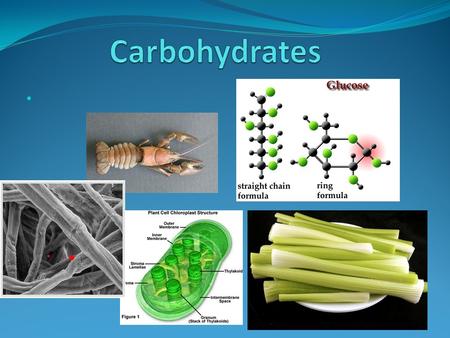 Carbohydrates The most common building material on Earth Made of Carbon Hydrogen and Oxygen (Most have the ratio 1:2:1 for C:H:O) Used as energy source,