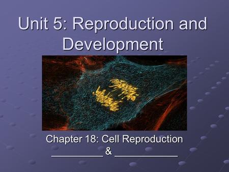 Unit 5: Reproduction and Development Chapter 18: Cell Reproduction _________ & ___________.