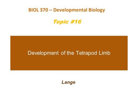 Development of the Tetrapod Limb Lange BIOL 370 – Developmental Biology Topic #16.
