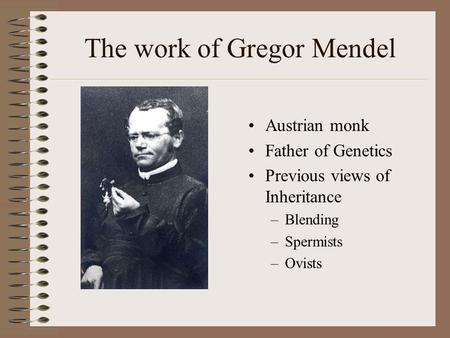 The work of Gregor Mendel Austrian monk Father of Genetics Previous views of Inheritance –Blending –Spermists –Ovists.