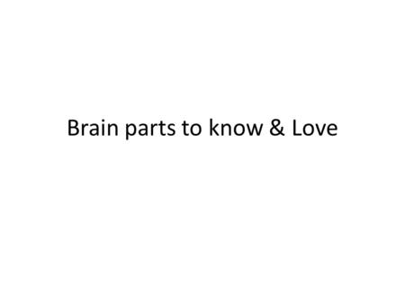 Brain parts to know & Love