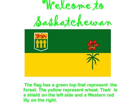 Welcome to Saskatchewan The flag has a green top that represent the forest. The yellow represent wheat. Their is a shield on the left side and a Western.