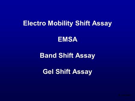 Electro Mobility Shift Assay EMSA Band Shift Assay Gel Shift Assay