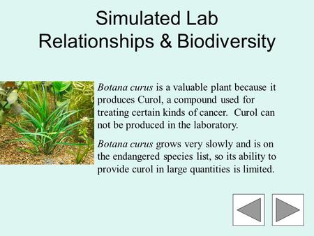 Simulated Lab Relationships & Biodiversity