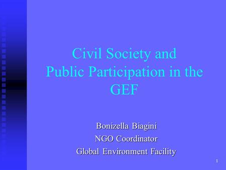 1 Civil Society and Public Participation in the GEF Bonizella Biagini NGO Coordinator Global Environment Facility.