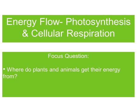 Energy Flow- Photosynthesis & Cellular Respiration