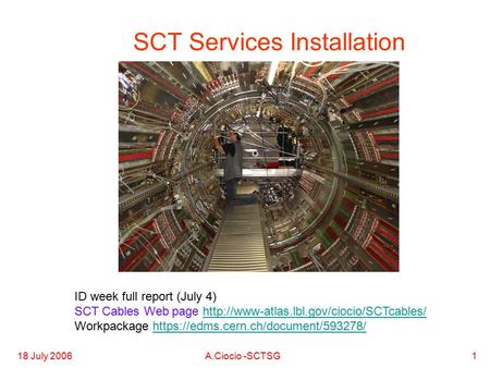 18 July 2006A.Ciocio -SCTSG1 SCT Services Installation ID week full report (July 4) SCT Cables Web page