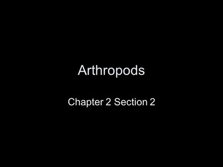Arthropods Chapter 2 Section 2. Arthropods What are some examples of common arthropods? –Insects –Spiders –Crabs –Lobsters –Centipedes –Scorpions.