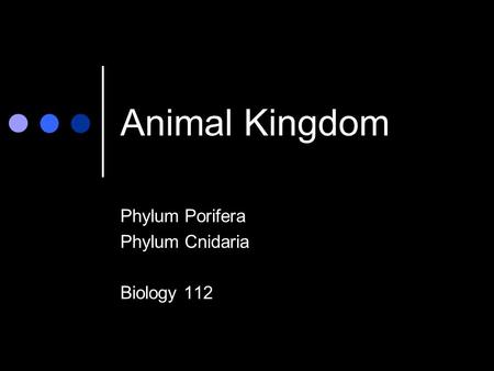 Animal Kingdom Phylum Porifera Phylum Cnidaria Biology 112.