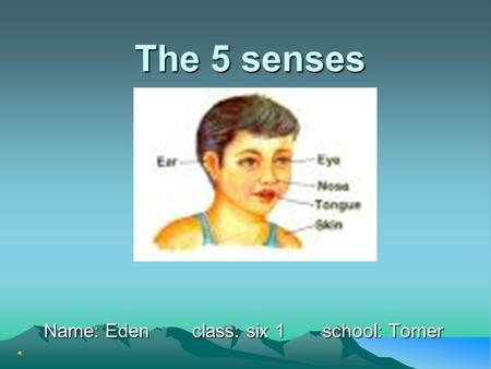 The 5 senses Name: Eden class: six 1 school: Tomer.