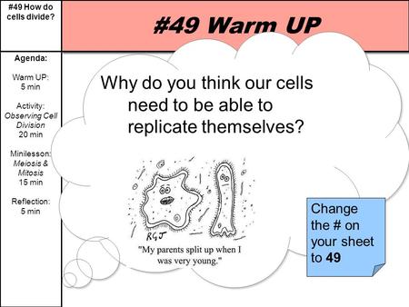 #49 Warm UP Why do you think our cells need to be able to replicate themselves? SWBAT compare and contrast Mitosis and Meiosis by analyzing diagrams and.