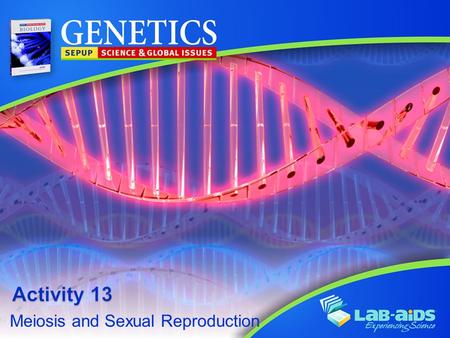 Meiosis and Sexual Reproduction. Activity 13: Meiosis and Sexual Reproduction LIMITED LICENSE TO MODIFY. These PowerPoint® slides may be modified only.