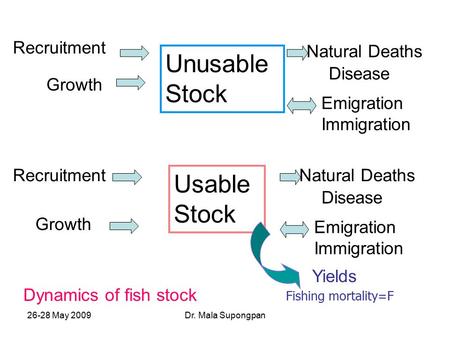 26-28 May 2009Dr. Mala Supongpan Unusable Stock Recruitment Growth Natural Deaths Disease Emigration Immigration Recruitment Usable Stock Growth Natural.