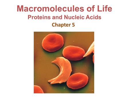 Macromolecules of Life Proteins and Nucleic Acids