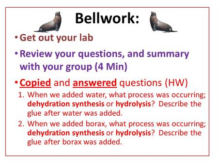 Bellwork: Get out your lab