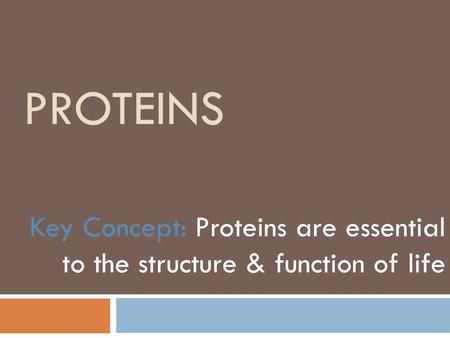 Proteins Key Concept: Proteins are essential to the structure & function of life.