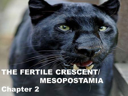 THE FERTILE CRESCENT/ MESOPOSTAMIA Chapter 2. The Fertile Crescent is known as the Crossroads of the world because it links three continents together: