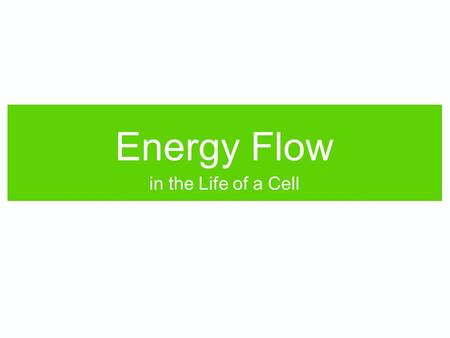 Energy Flow in the Life of a Cell.