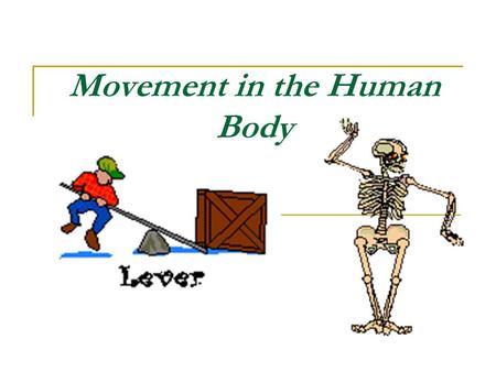 Movement in the Human Body