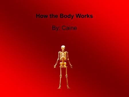How the Body Works By: Caine. How many times your heart beats A average adults heart beats about 80 to 100 times a minute.