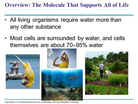 Overview: The Molecule That Supports All of Life All living organisms require water more than any other substance Most cells are surrounded by water, and.
